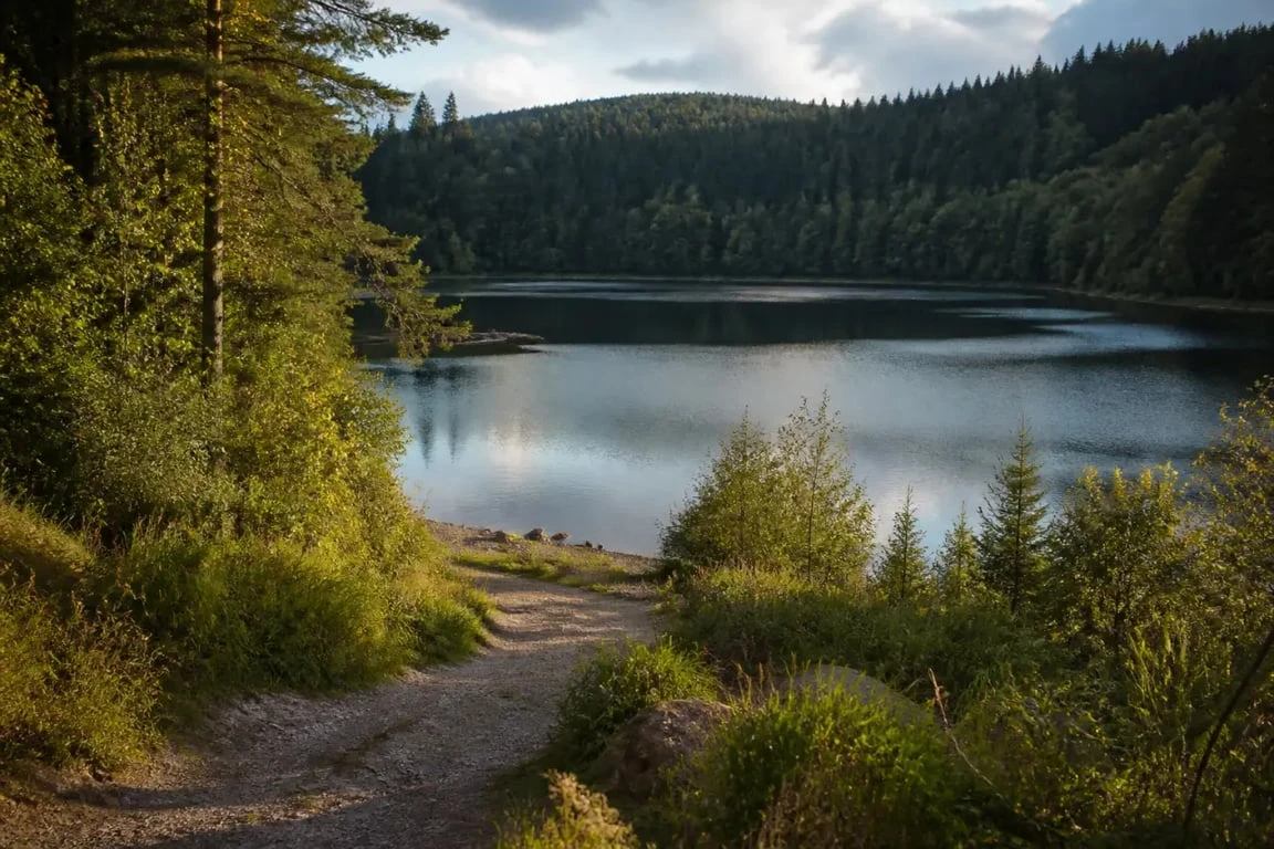 Boucle du Morvan par le lac du Crescent : vue panoramique du lac et des collines boisées du Morvan avec un sentier de randonnée en premier plan