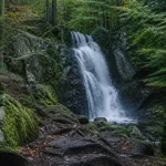 Saut de gouloux, cascade du Morvan : sentier étroit et rochers humides