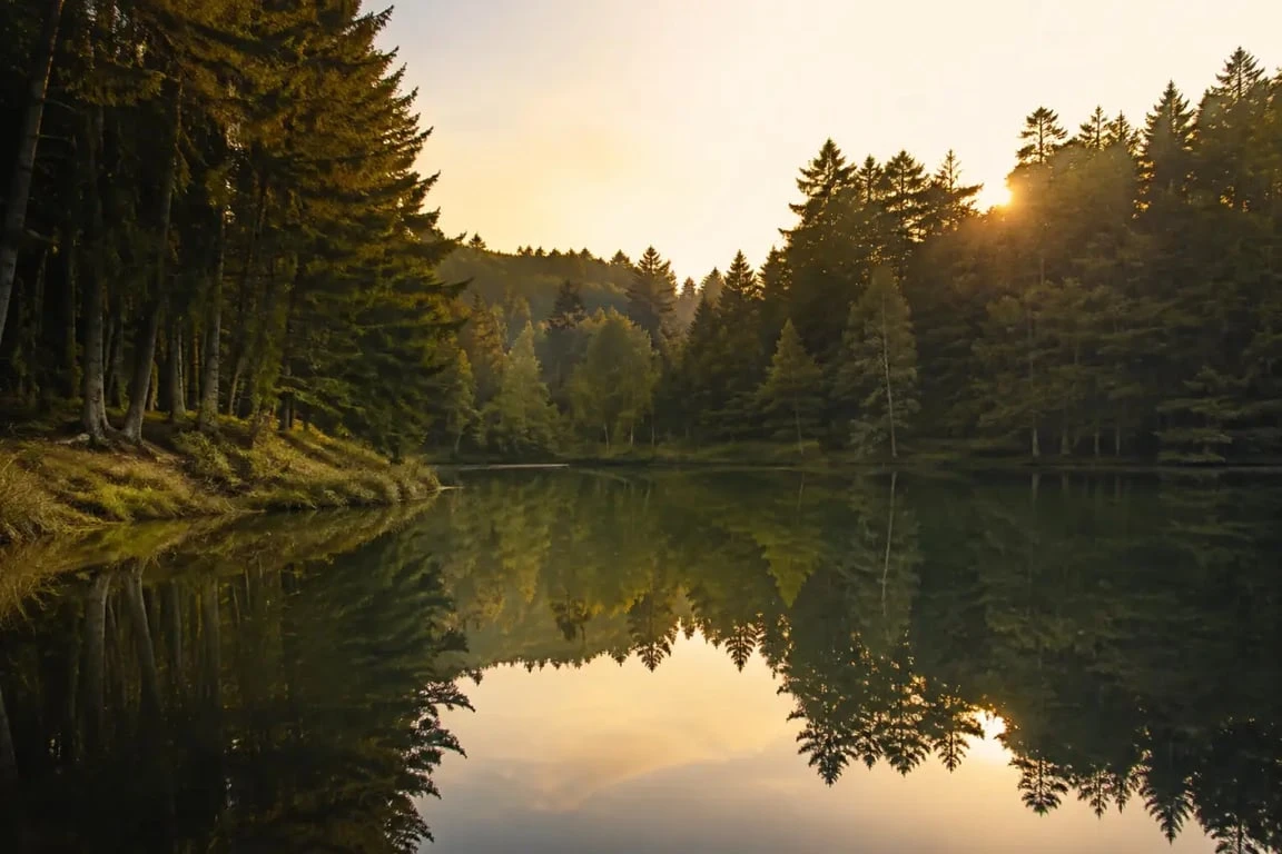 Lac de la Goulette Morvan : vue paisible de l’étang forestier de la Goulette dans le Morvan
