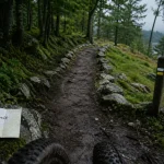 Guide randonnée morvan : sentier lac et forêt dans le Morvan