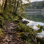Sentier vers le lac de Chamboux Morvan, berges et forêt