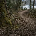 Parc naturel régional du Morvan randonnée : sentier forestier et lac au Morvan
