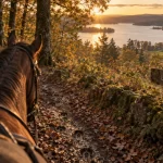 Randonnée cheval Morvan : cheval sur sentier près du Lac des Settons