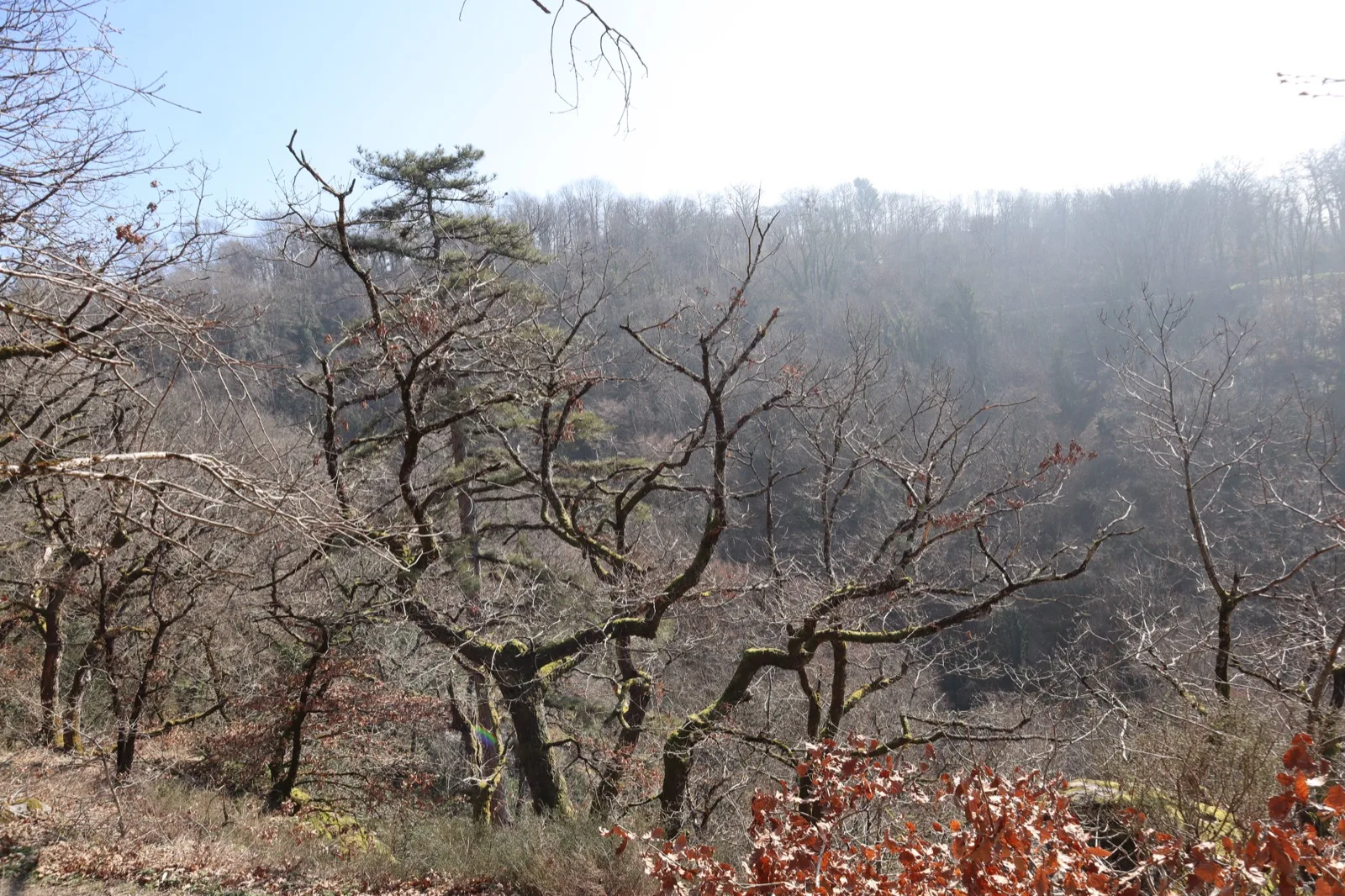 Les gorges de Narvau à Lormes